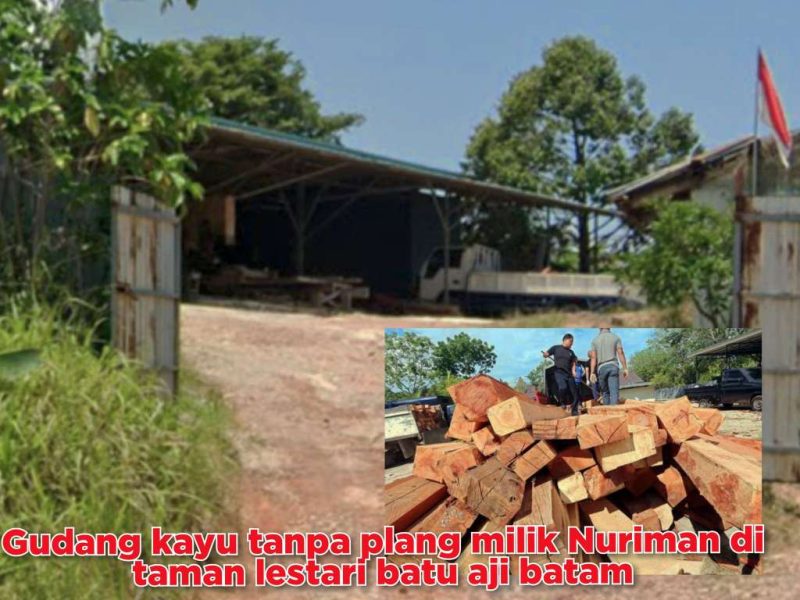 Tanpa Plang Gudang Kayu Milik Nuriman Bebas Beroperasional